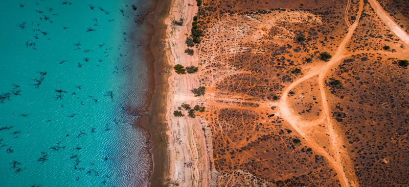 aerial view of coastline
