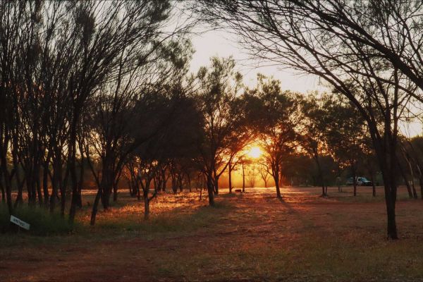 The sun goes down over some trees in the Northern Territory, lighting everything golden.