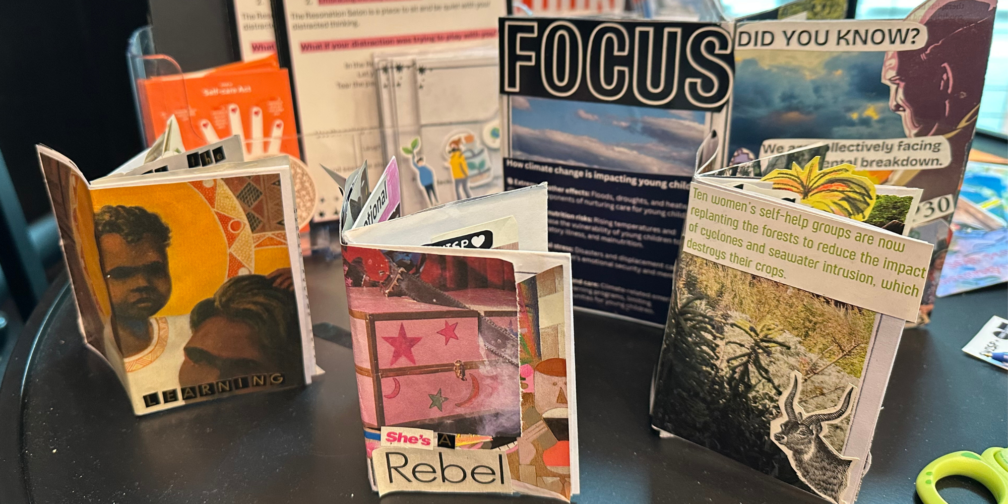 Zines on display in SWISP Living Lab