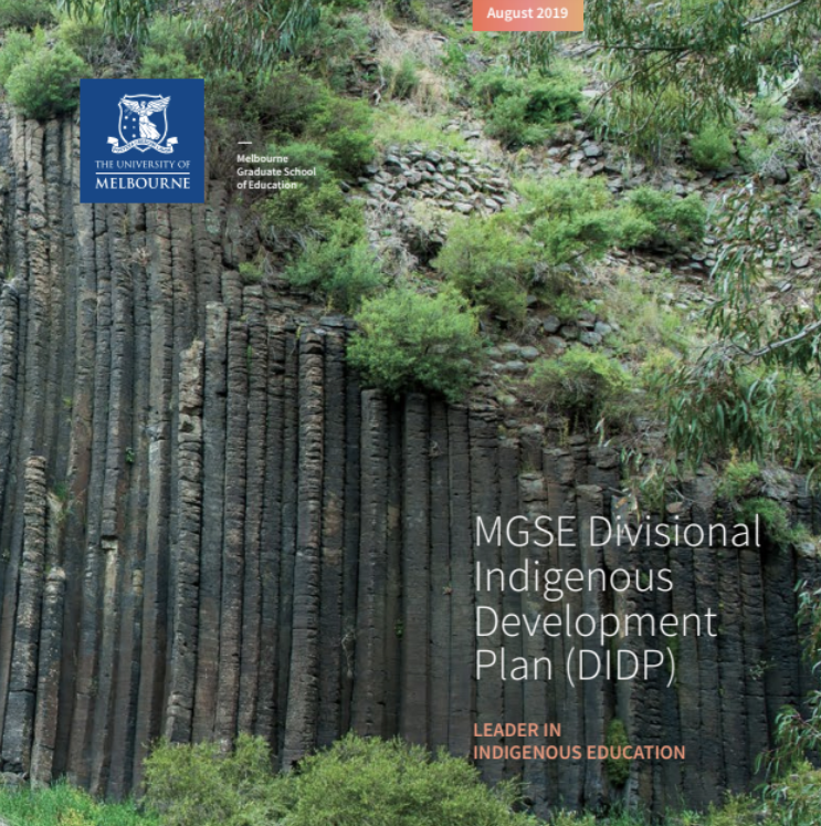 Divisional Indigenous Development Plan